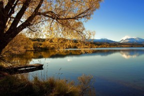 爱游戏中国官方网站平台-“青训合作联盟成果显著，青少年潜能不断被挖掘”，青训lya